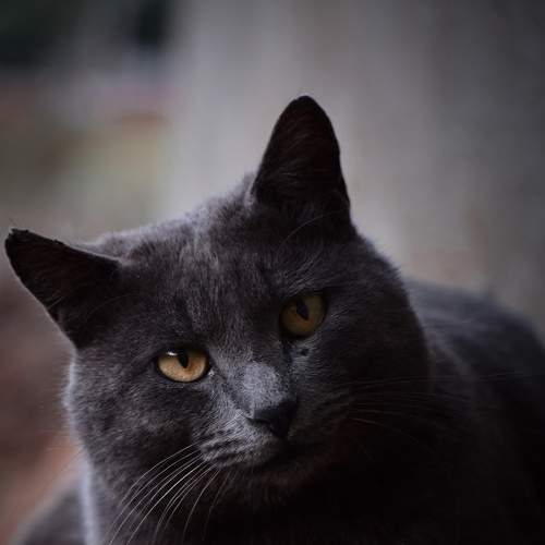 Photo #7475593