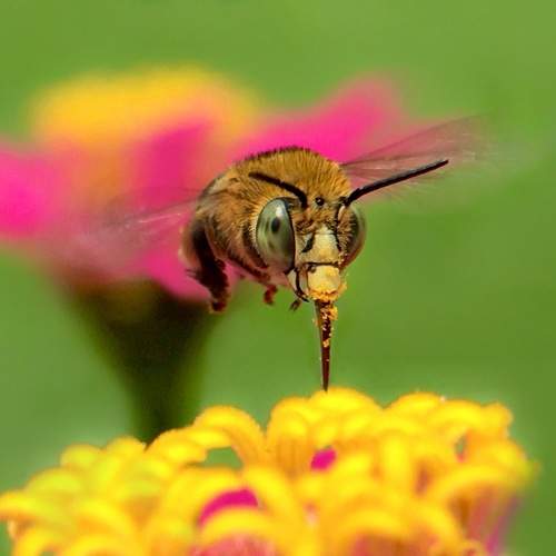 Photo #7475627