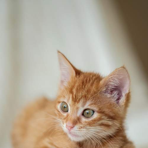 Photo #7475681