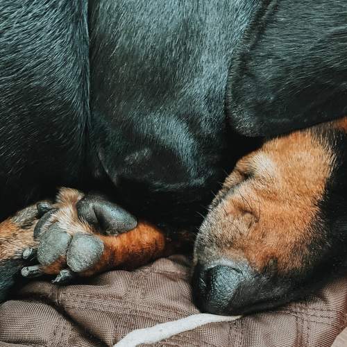 Photo #7475692