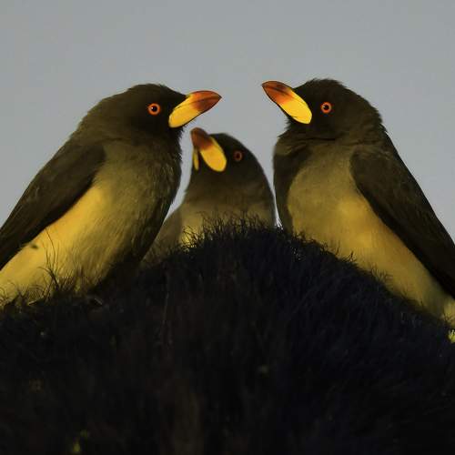 Photo #7475817
