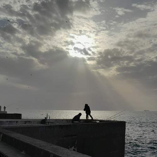 Photo #7476029
