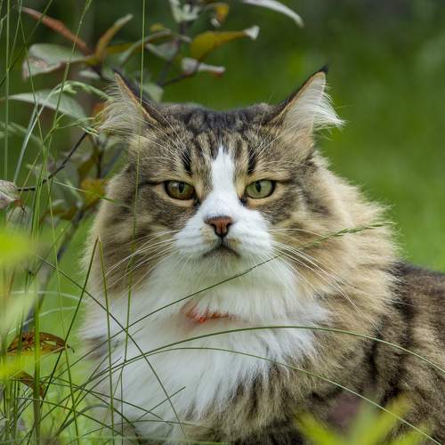 Photo #7476175