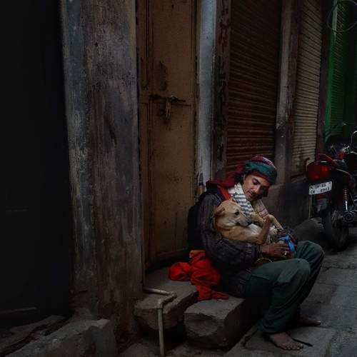 Photo #7476649