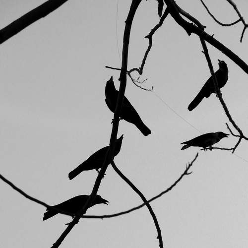 Photo #7476678