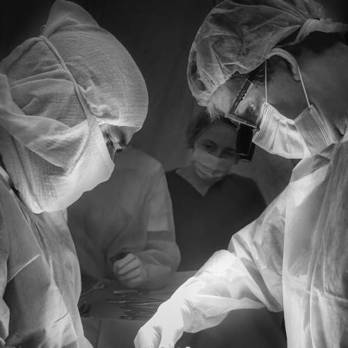 The best surgeons.