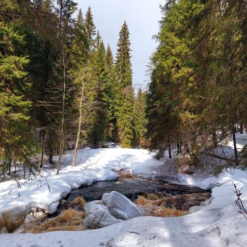 Photo #7477460