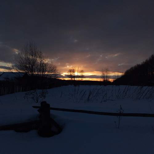 Photo #7477518