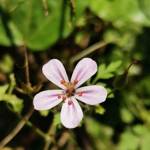 Photo #7477560