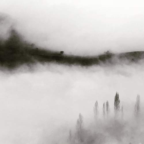 Photo #7477565