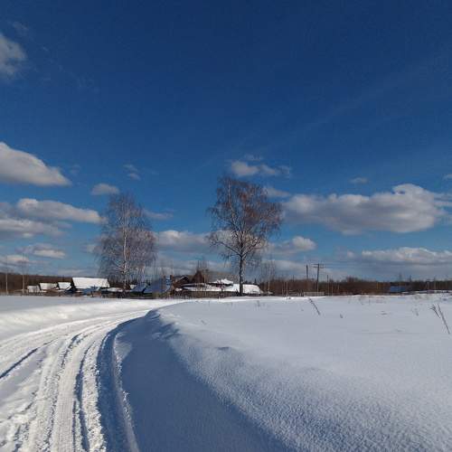 Photo #7477612