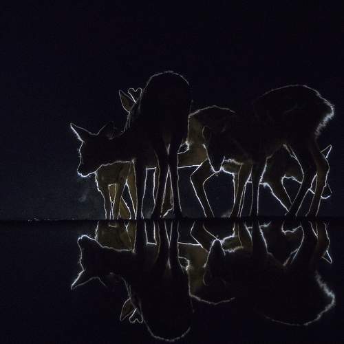 Photo #7477790