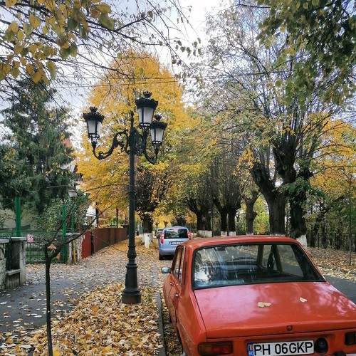 Photo #7478427