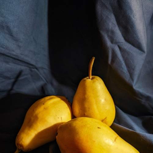 Photo #7478435