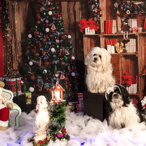 Photo #7478438