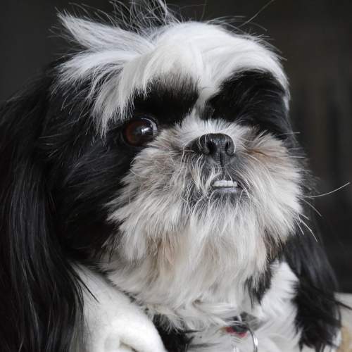 Photo #7478446