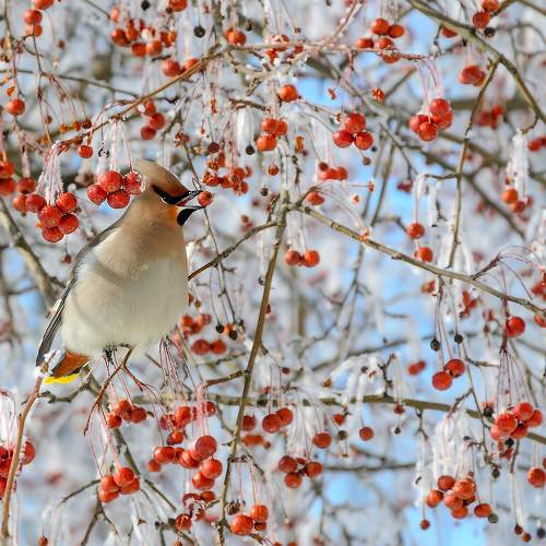 Фотография #7478633