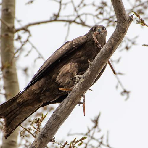 Photo #7478810