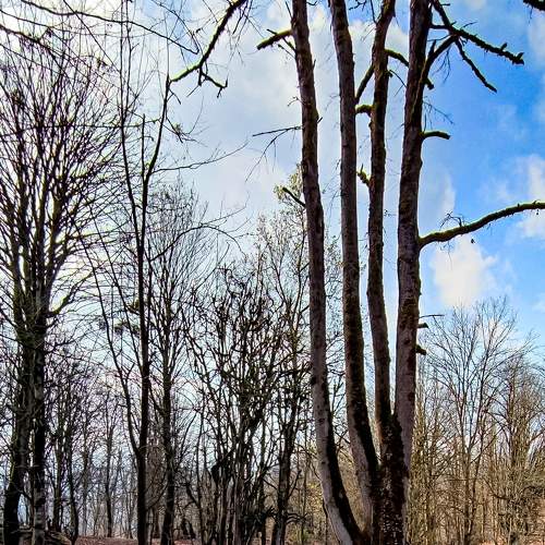 Photo #7479013