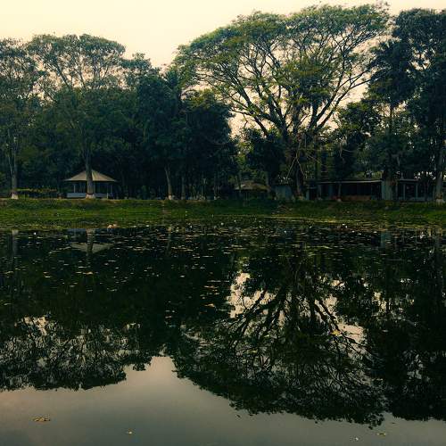 Photo #7479015