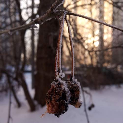Photo #7479056