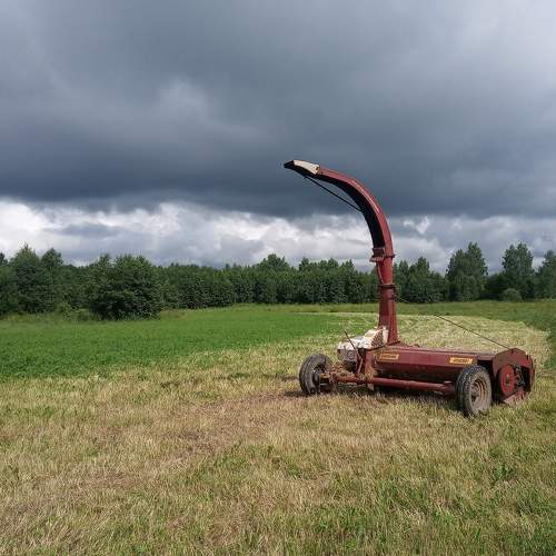 Photo #7479168