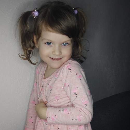 Photo #7479373