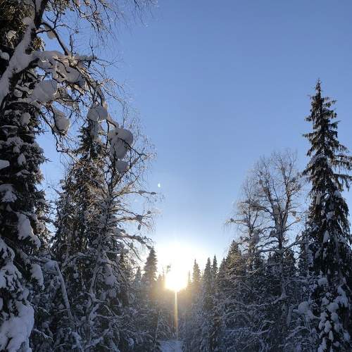 Photo #7479388