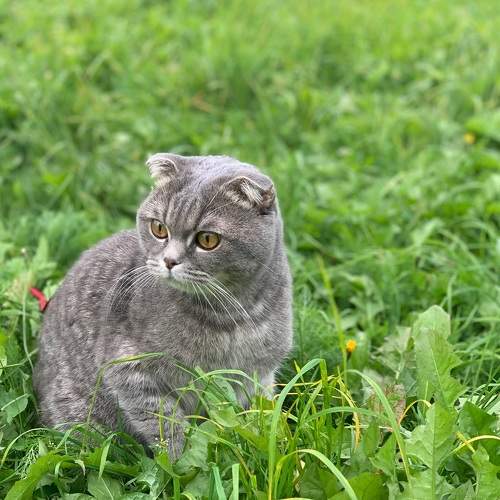 Photo #7479406