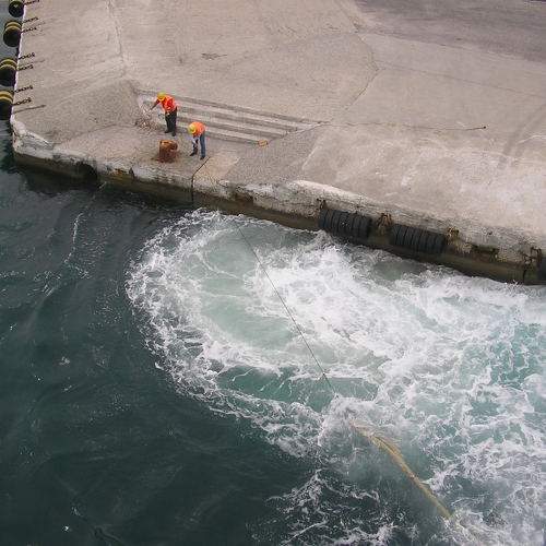 Photo #7479565