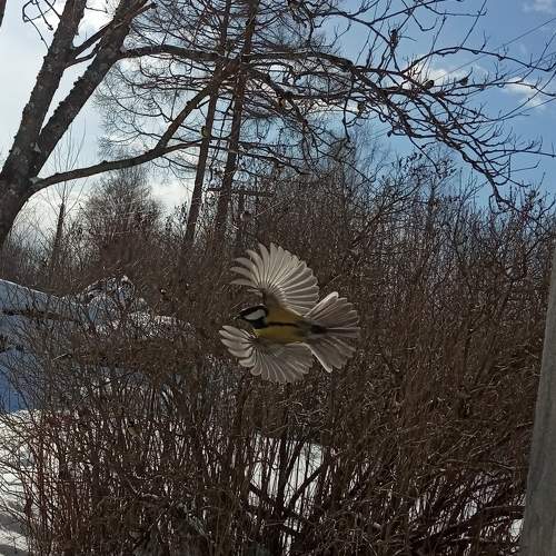 Photo #7479673
