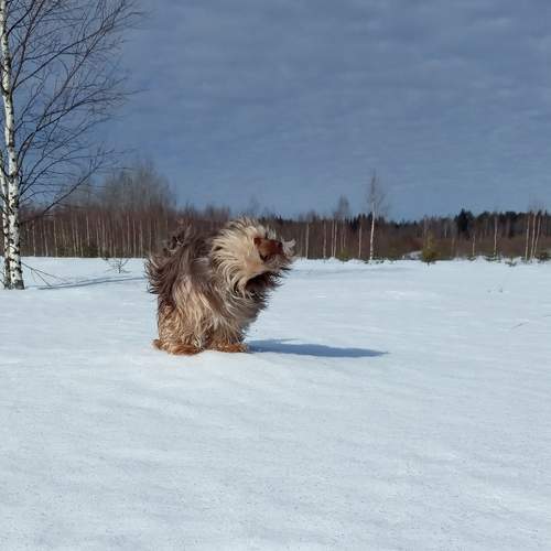 Photo #7479702