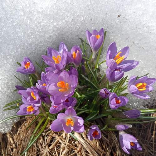 Photo #7479727