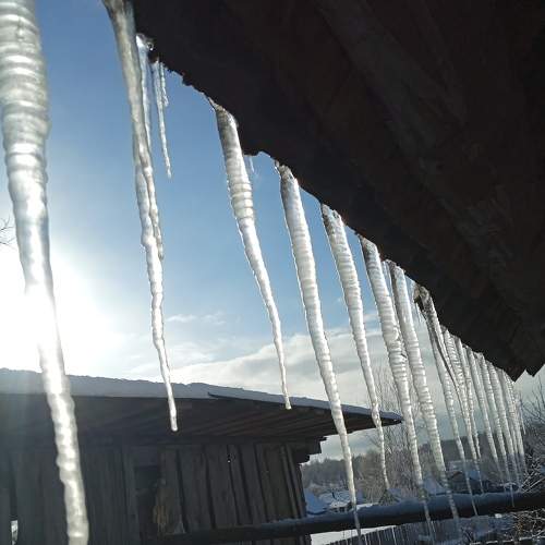 Photo #7479732