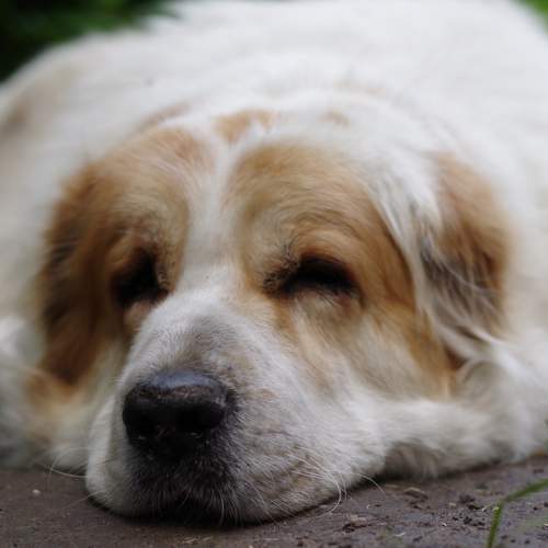 Photo #7479757