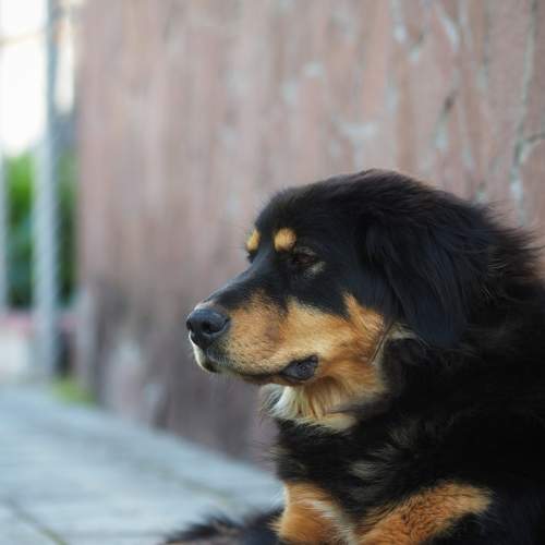 Photo #7479760