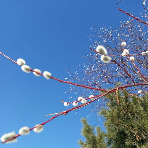 Photo #7479896