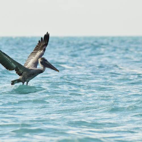 Фотография #7479940