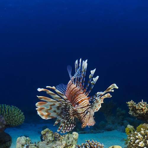 Photo #7480050