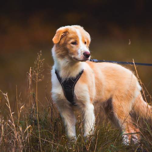 Photo #7480261