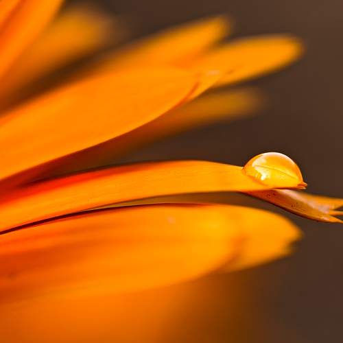 Photo #7480514