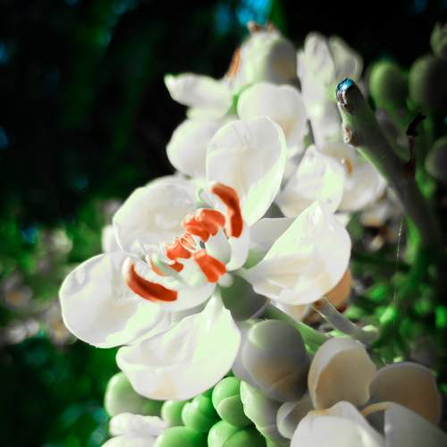 Photo #7480533