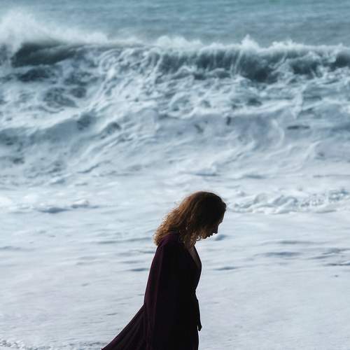 Photo #7480553