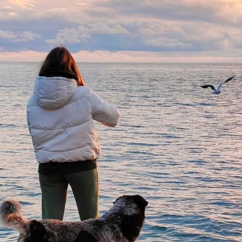 Photo #7480937