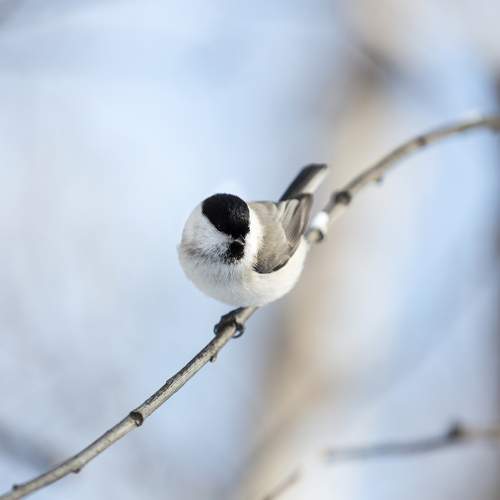 Фотография #7481075