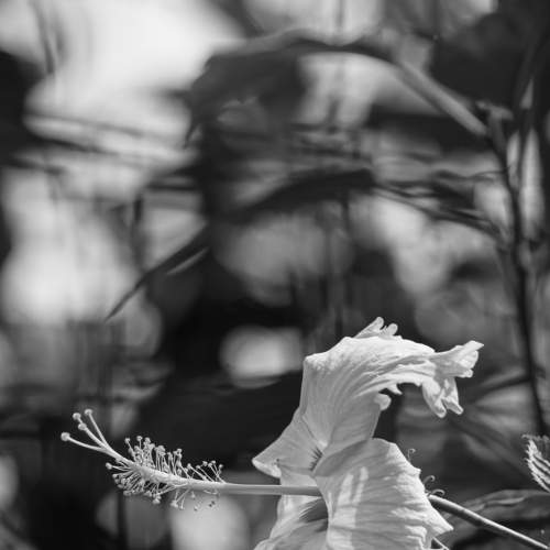 Photo #7481095