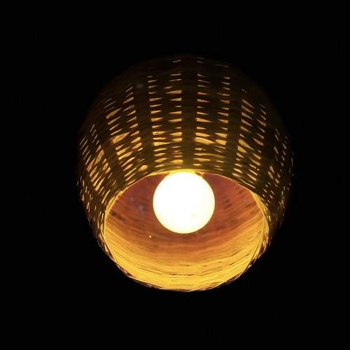 Photo #7481123
