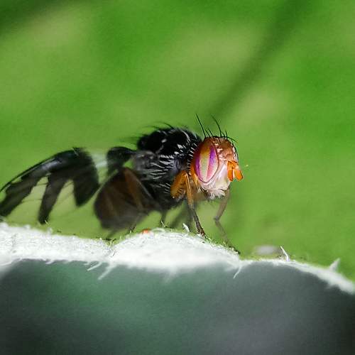 Photo #7481181