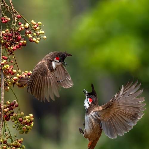 IN THE AIR