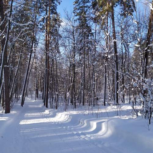 Photo #7481511